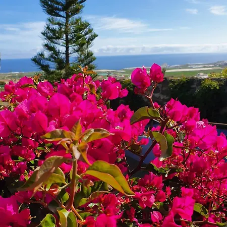 Mariposas Apartament Los Silos