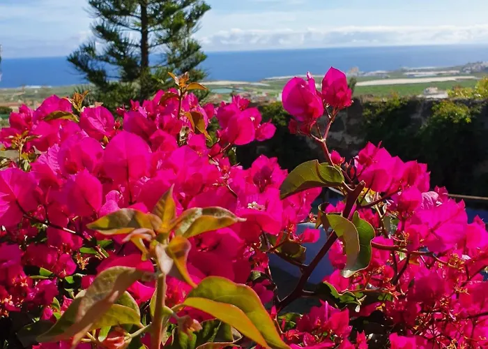 Mariposas Daire Los Silos